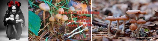 первитин Аша