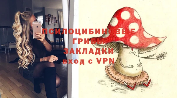 ПСИЛОЦИБИНОВЫЕ ГРИБЫ Бабаево