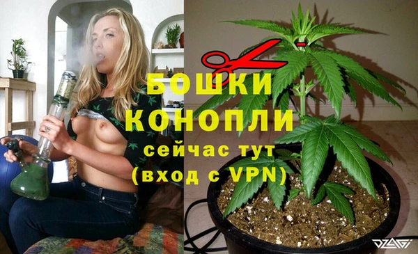 ПСИЛОЦИБИНОВЫЕ ГРИБЫ Бабаево